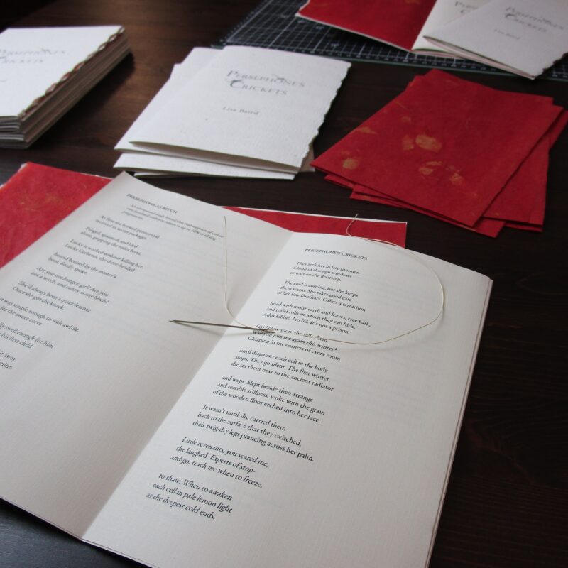 Pages and covers of Lisa's book, Persephone's Cricket, resting on table, opened, ready for the taking.
